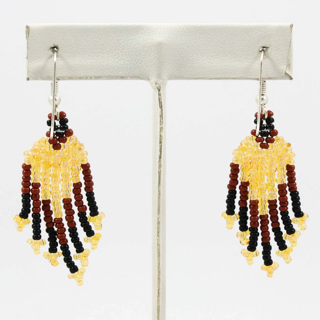 Beaded Necklace and Earrings Set