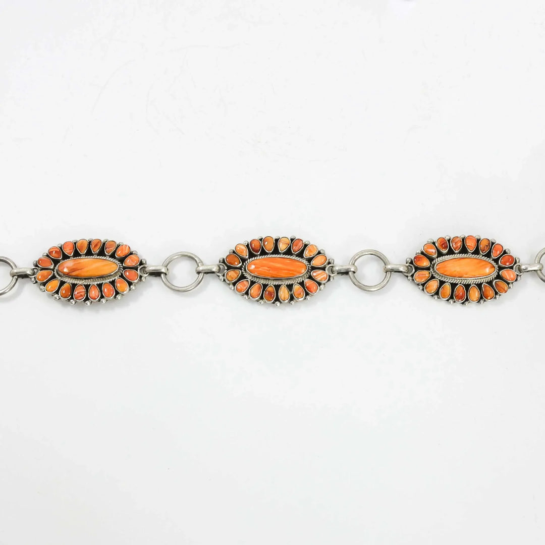 Spiny Oyster Shell Concho Belt
