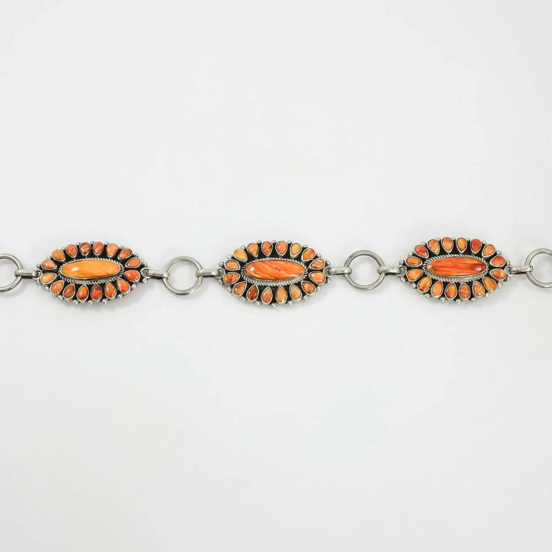 Spiny Oyster Shell Concho Belt