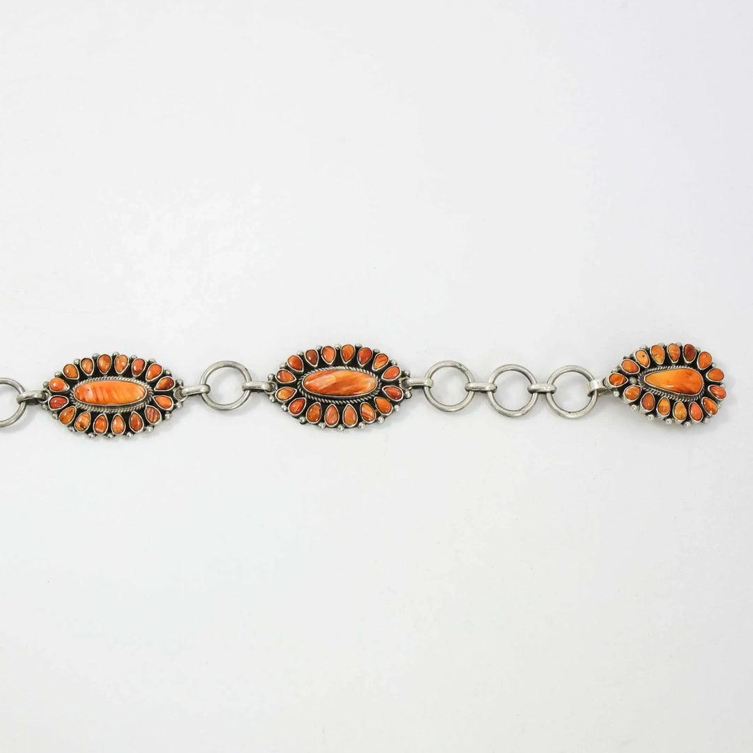 Spiny Oyster Shell Concho Belt