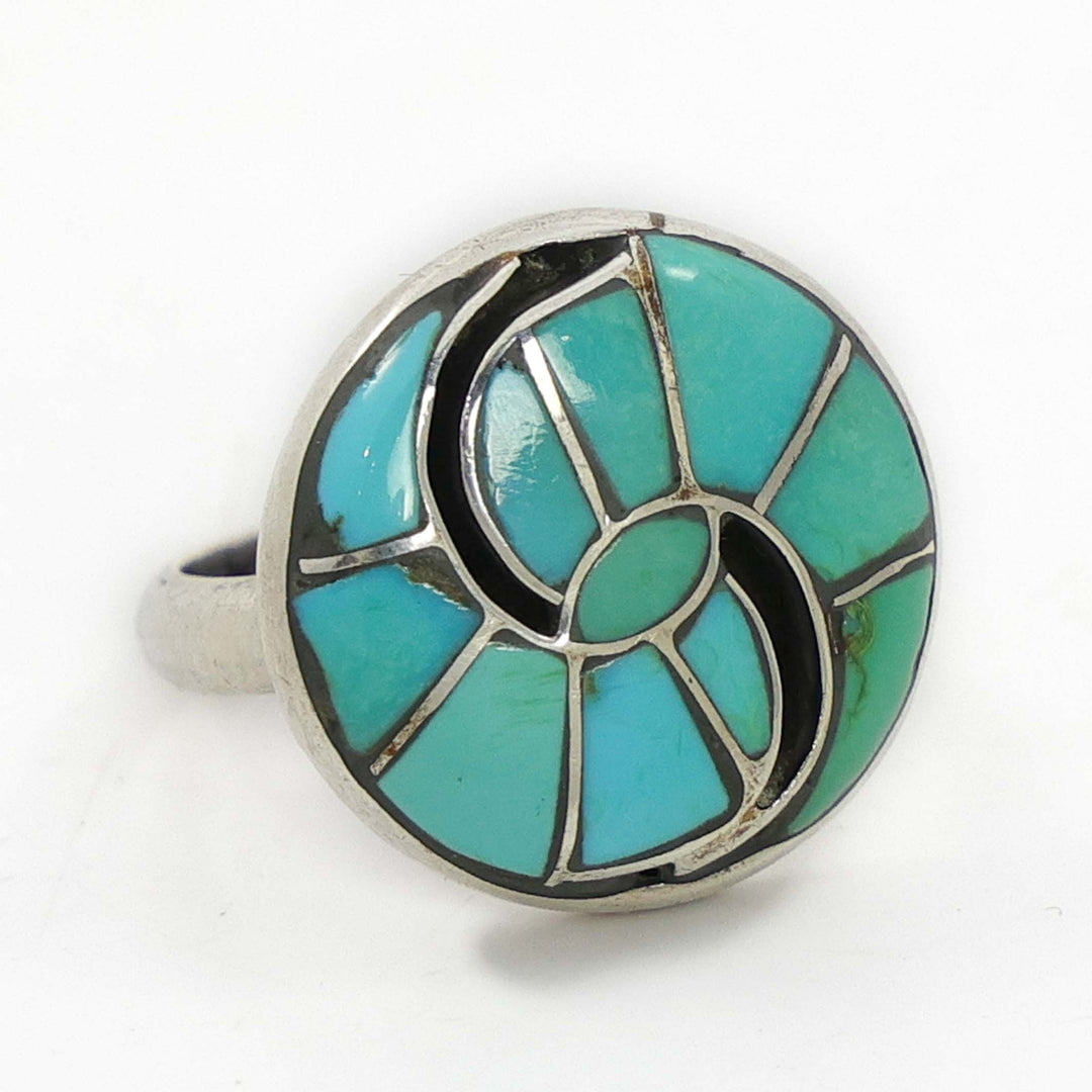 1970s Sleeping Beauty Turquoise Ring