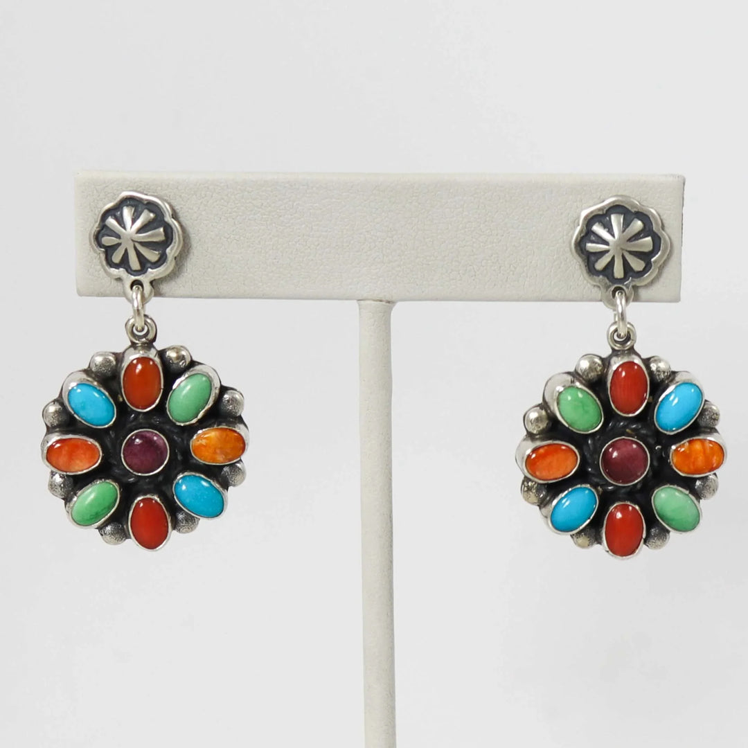 Multi-Stone Earrings
