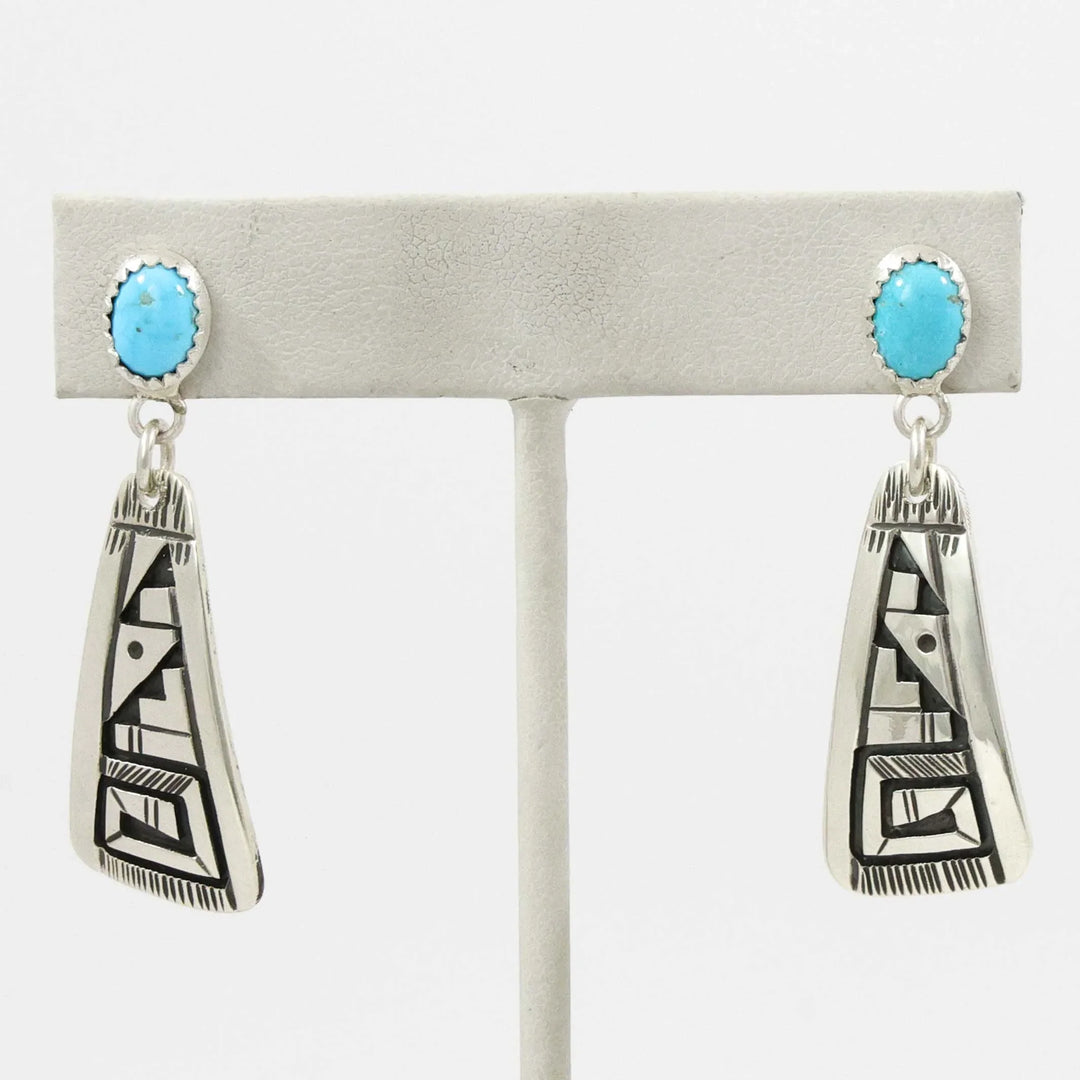 Sleeping Beauty Turquoise Earrings