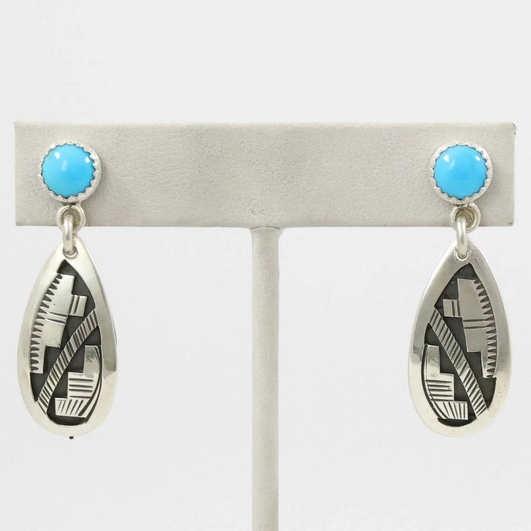 Sleeping Beauty Turquoise Earrings