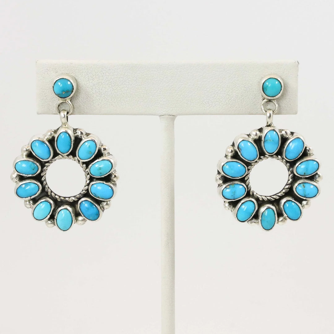 Sleeping Beauty Turquoise Earrings