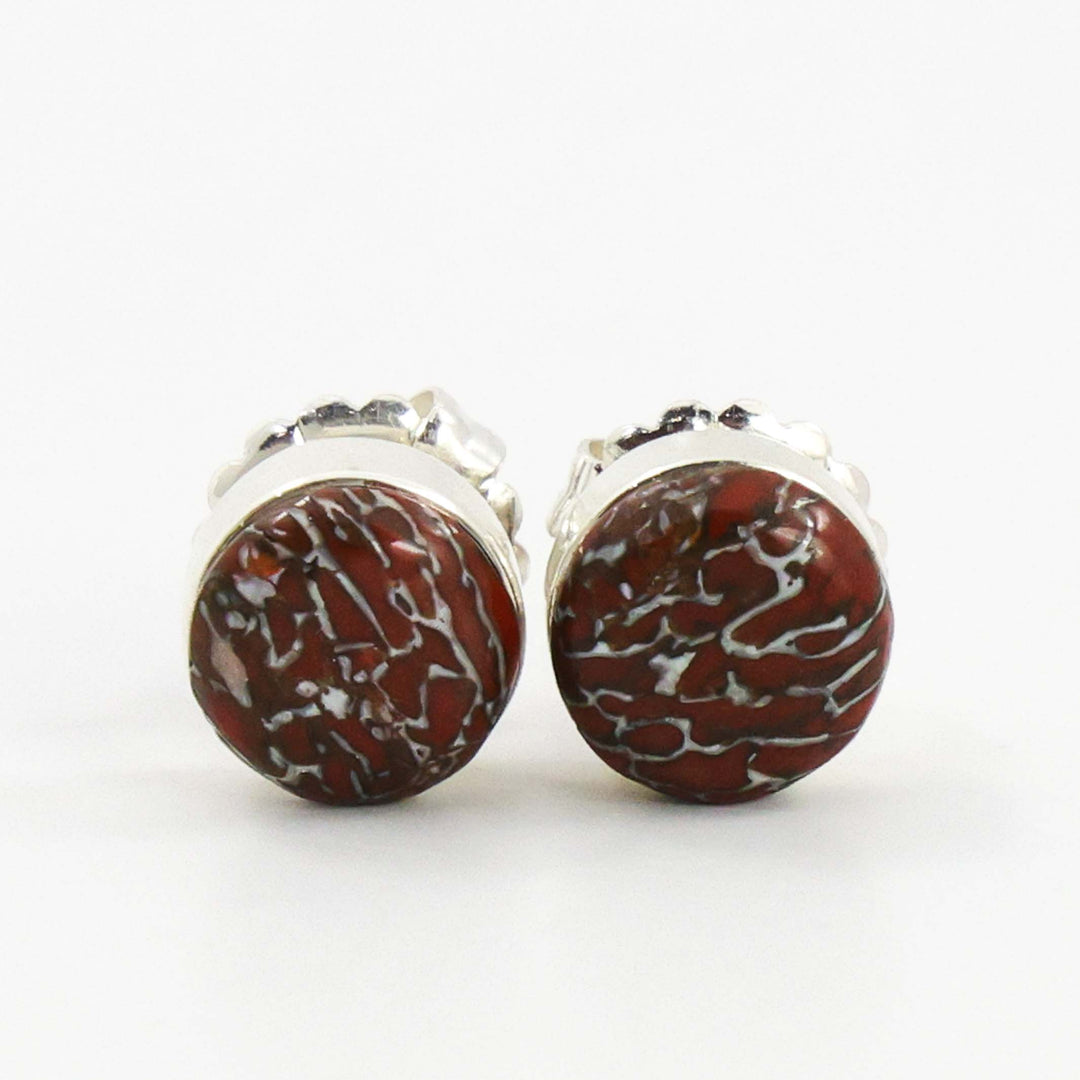 Dinosaur Bone Earrings