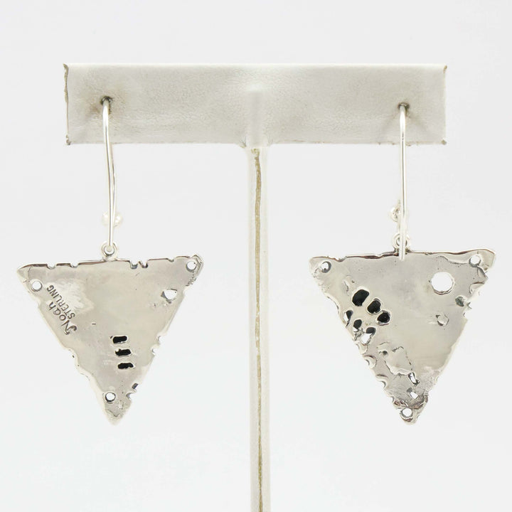 Sleeping Beauty Turquoise Earrings