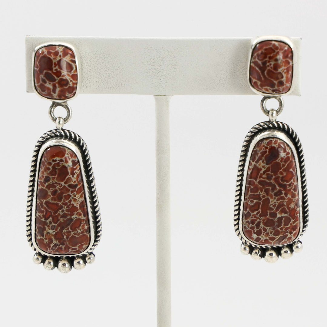 Dinosaur Bone Earrings