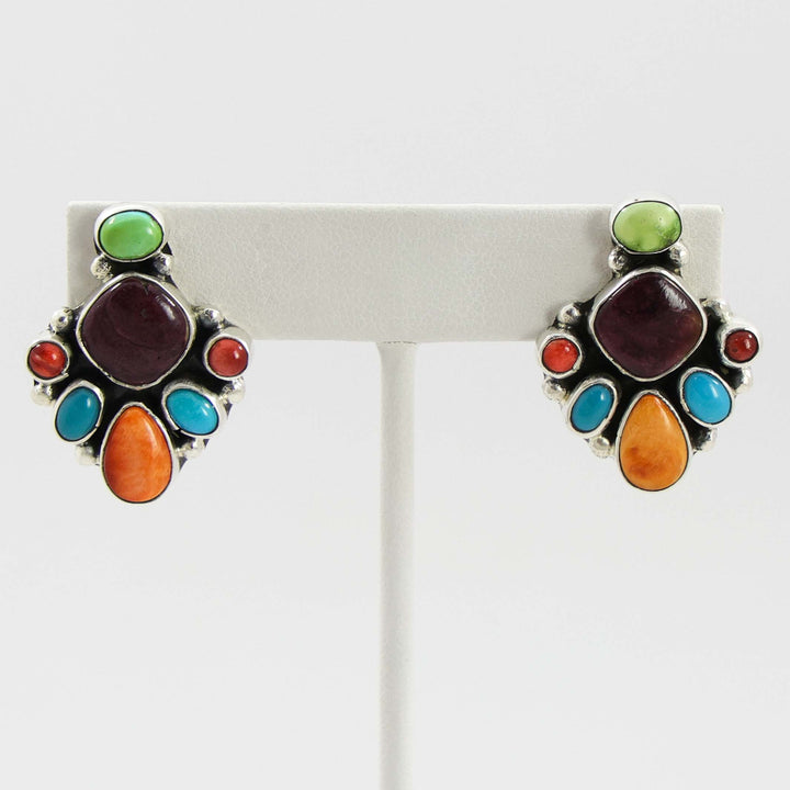 Multi-Stone Earrings