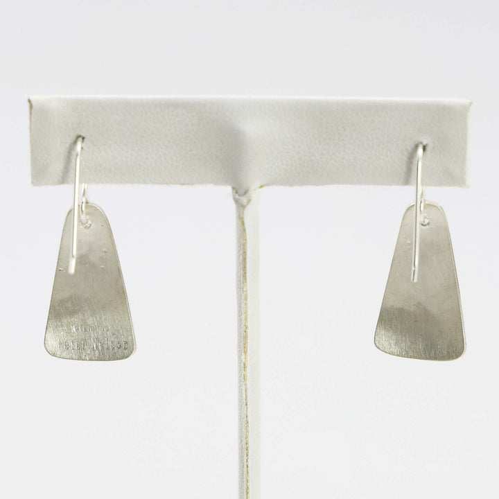 Sleeping Beauty Turquoise Earrings