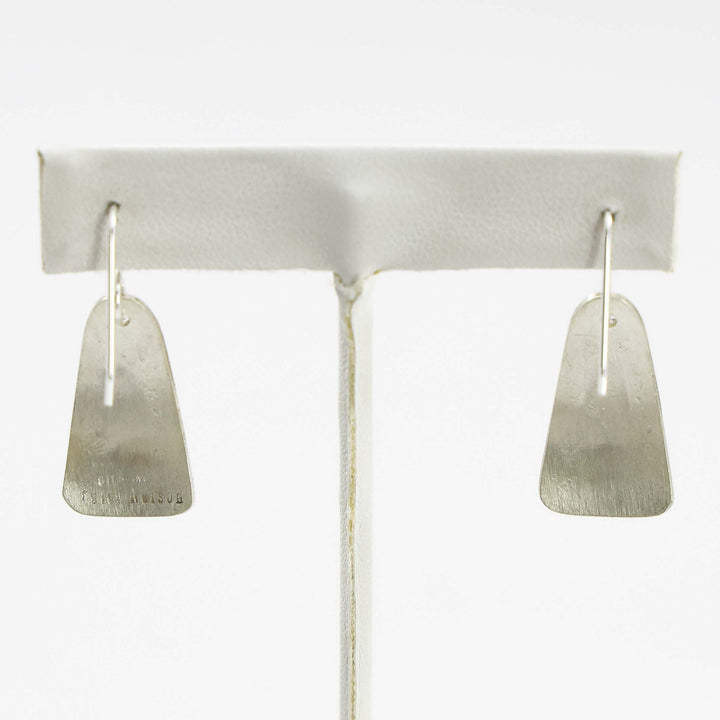 Sleeping Beauty Turquoise Earrings