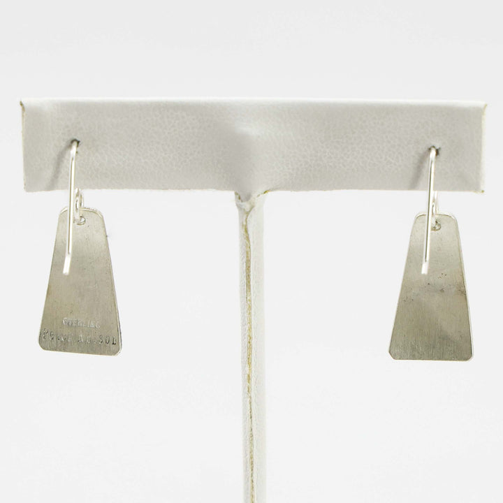 Sleeping Beauty Turquoise Earrings