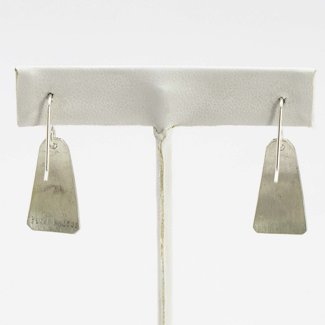 Sleeping Beauty Turquoise Earrings