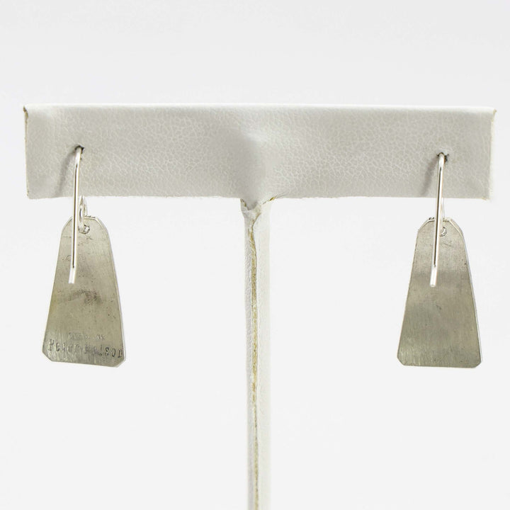 Sleeping Beauty Turquoise Earrings