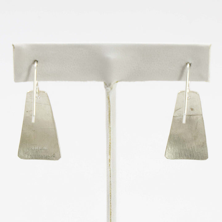 Sleeping Beauty Turquoise Earrings