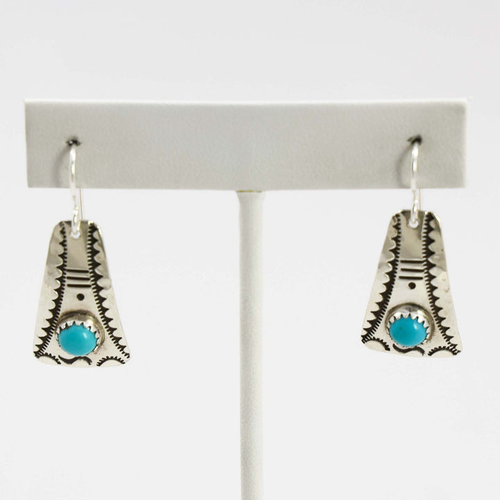 Sleeping Beauty Turquoise Earrings