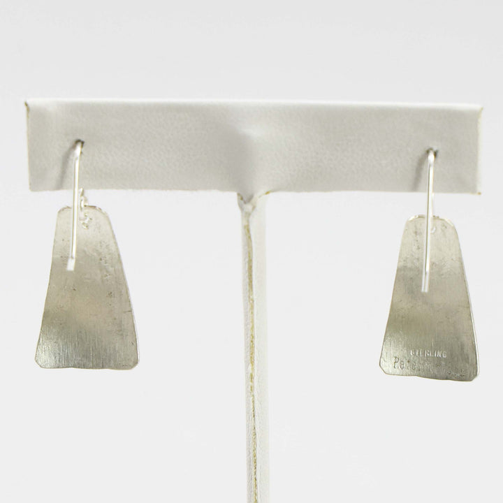 Sleeping Beauty Turquoise Earrings