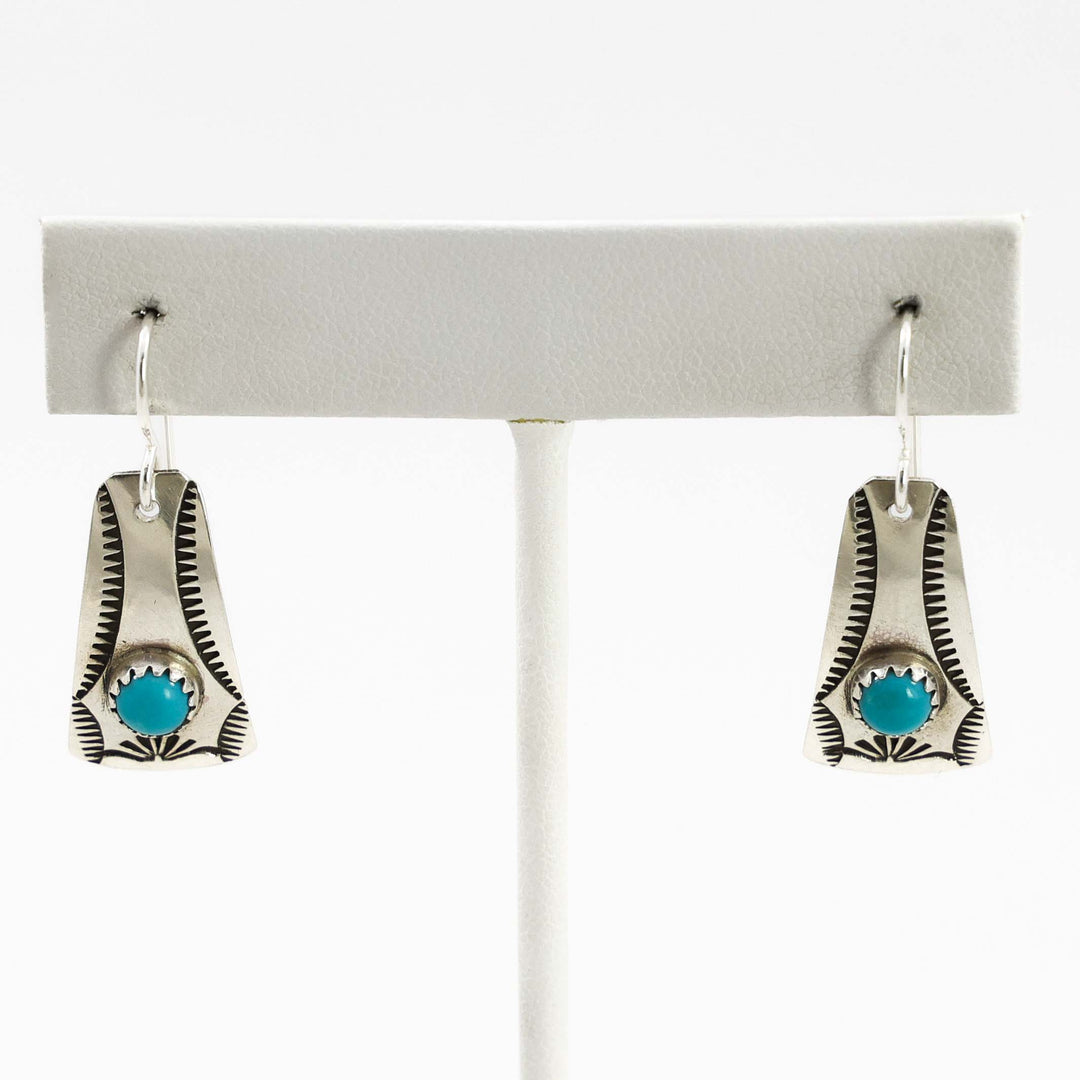 Sleeping Beauty Turquoise Earrings