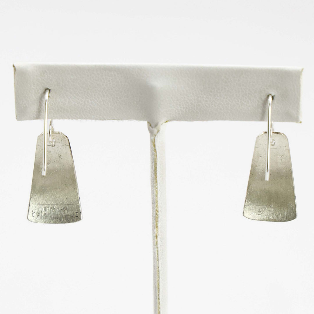 Sleeping Beauty Turquoise Earrings