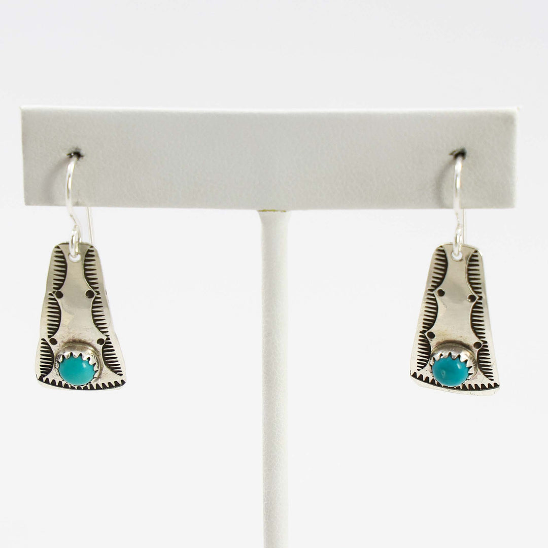 Sleeping Beauty Turquoise Earrings