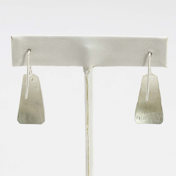 Sleeping Beauty Turquoise Earrings