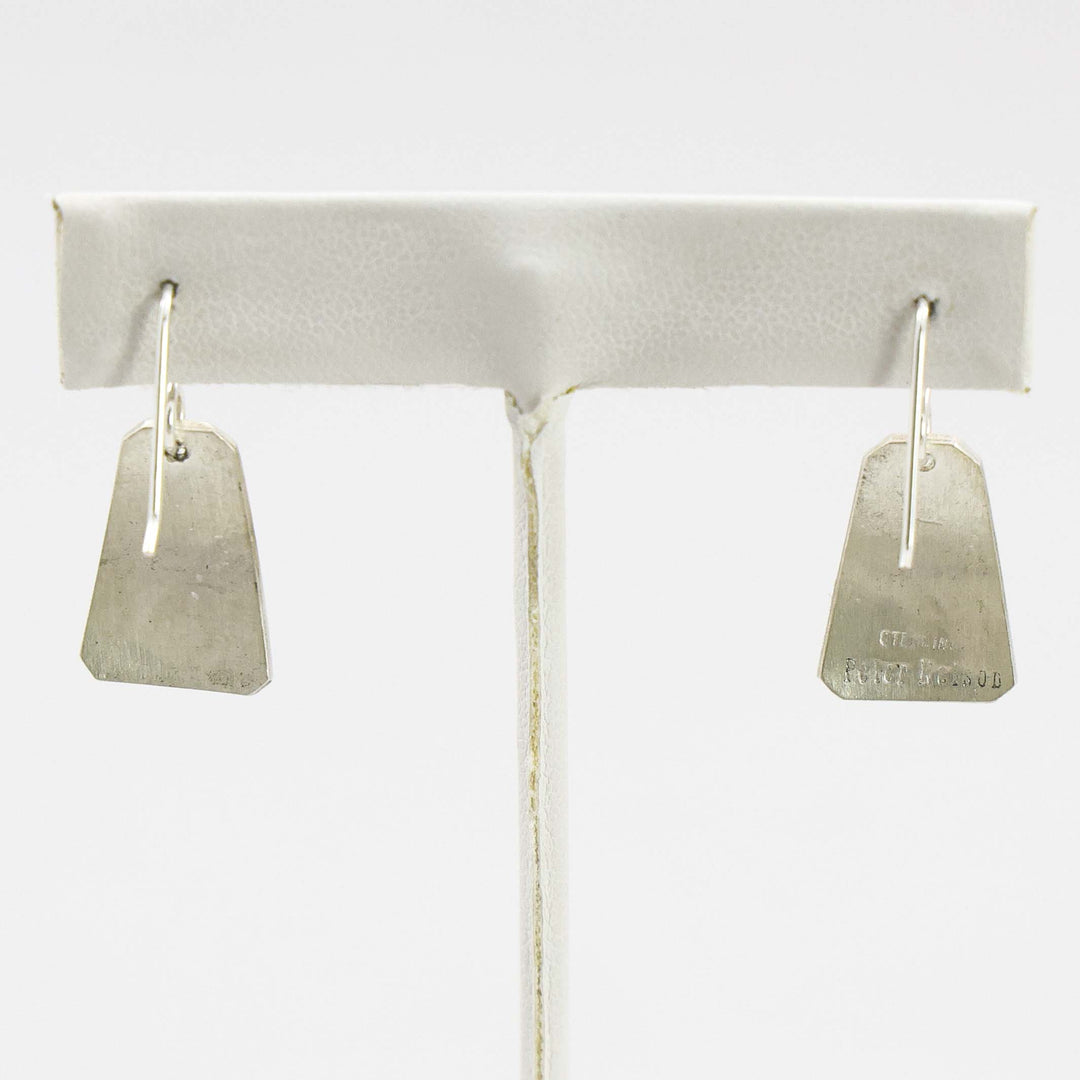 Sleeping Beauty Turquoise Earrings