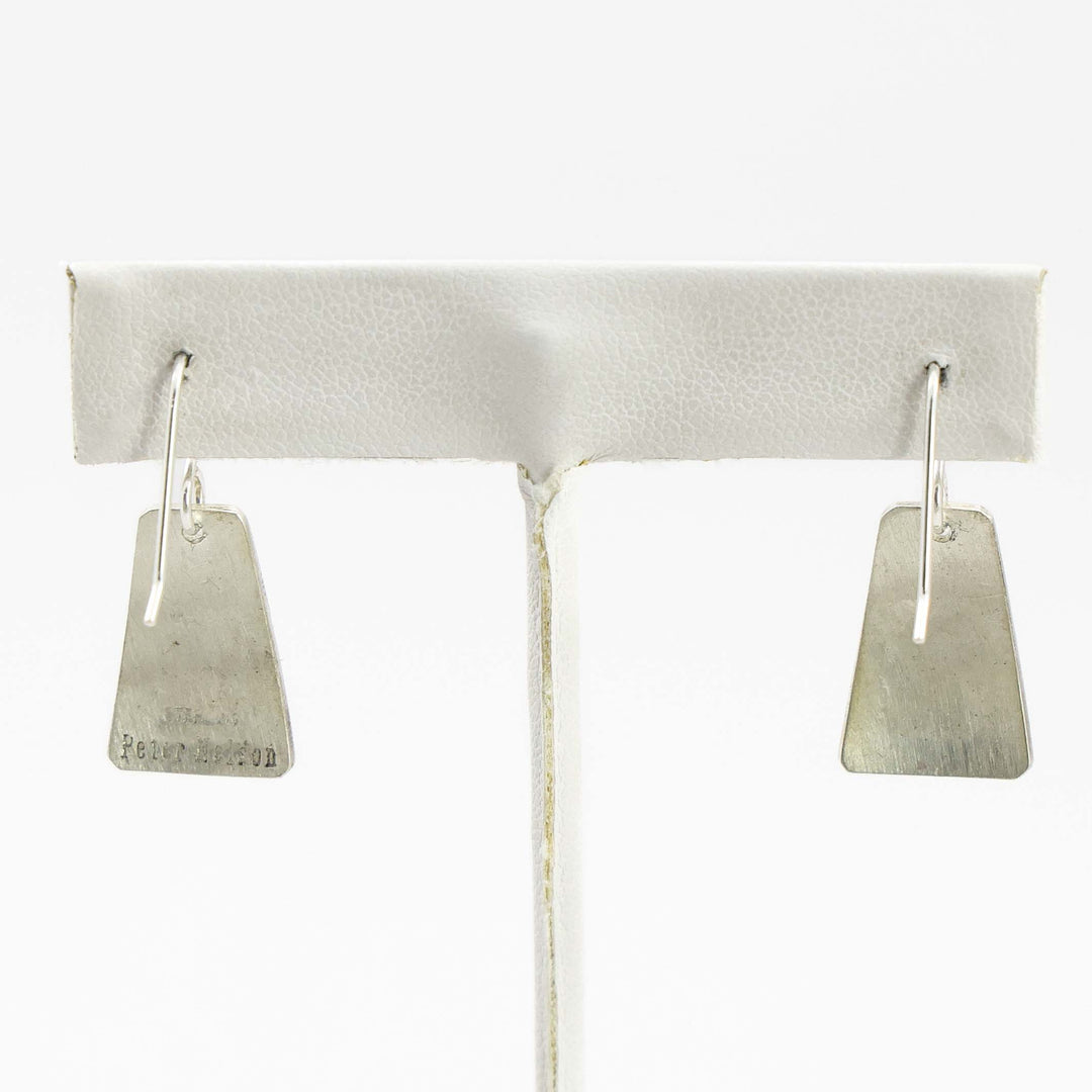 Sleeping Beauty Turquoise Earrings