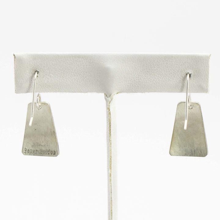 Sleeping Beauty Turquoise Earrings