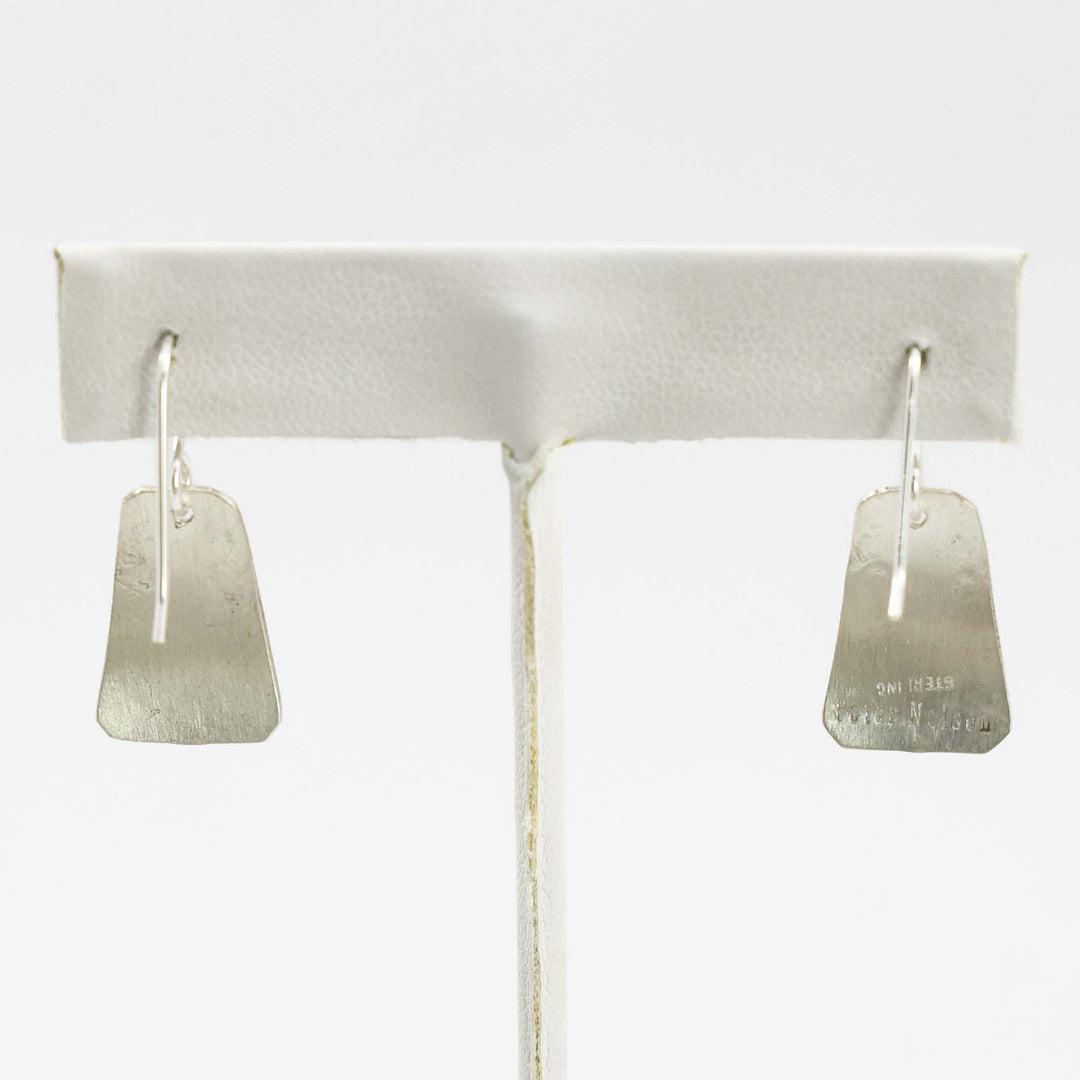 Sleeping Beauty Turquoise Earrings