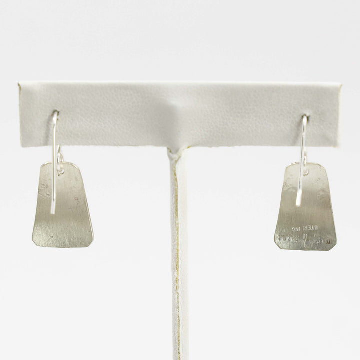 Sleeping Beauty Turquoise Earrings