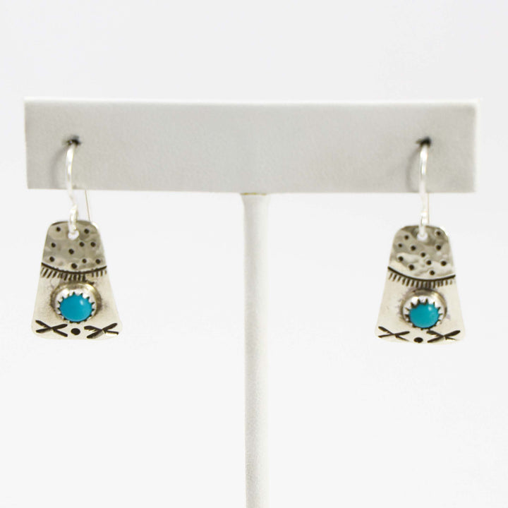 Sleeping Beauty Turquoise Earrings