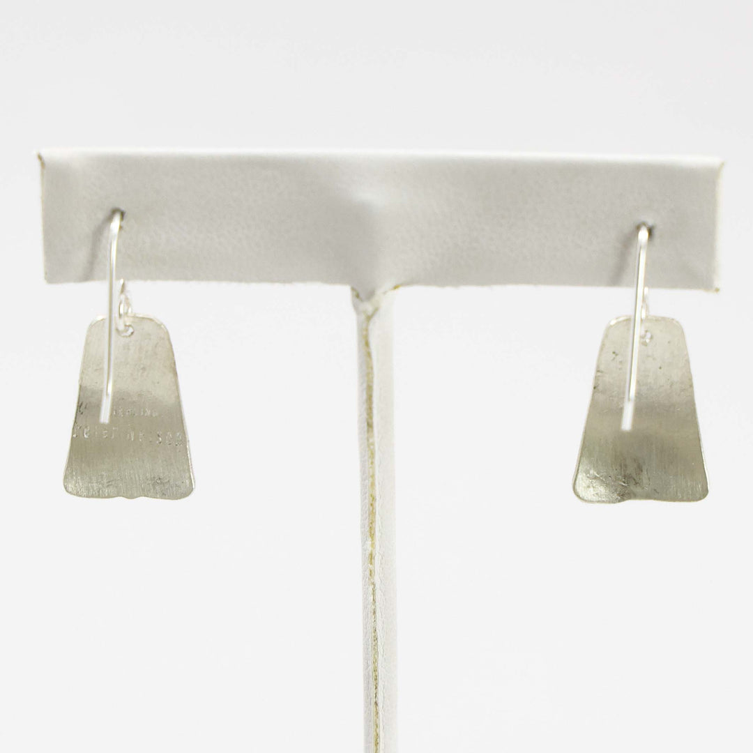 Sleeping Beauty Turquoise Earrings