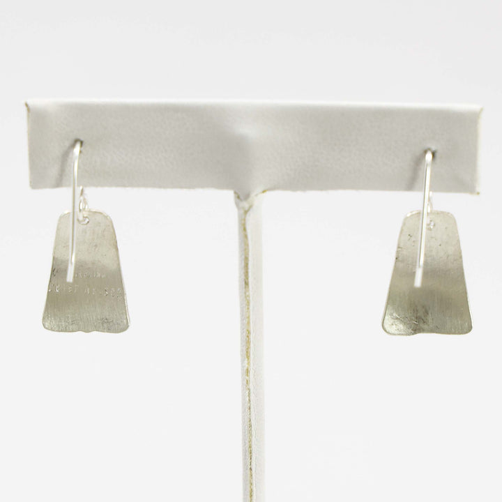 Sleeping Beauty Turquoise Earrings