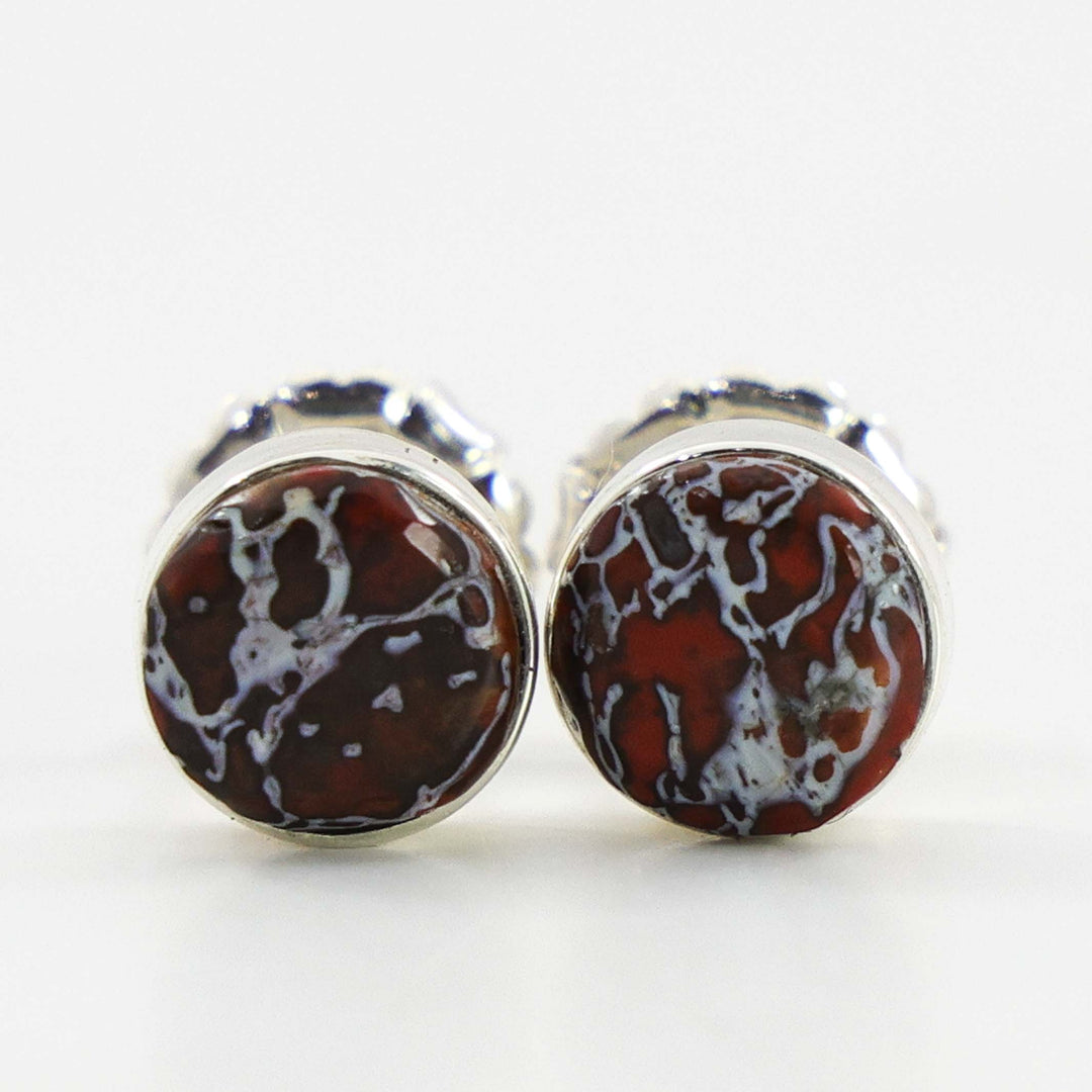 Dinosaur Bone Earrings