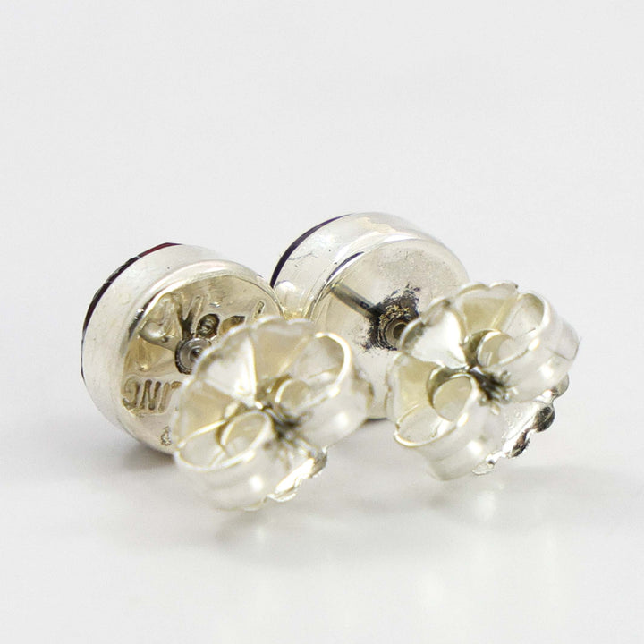 Dinosaur Bone Earrings