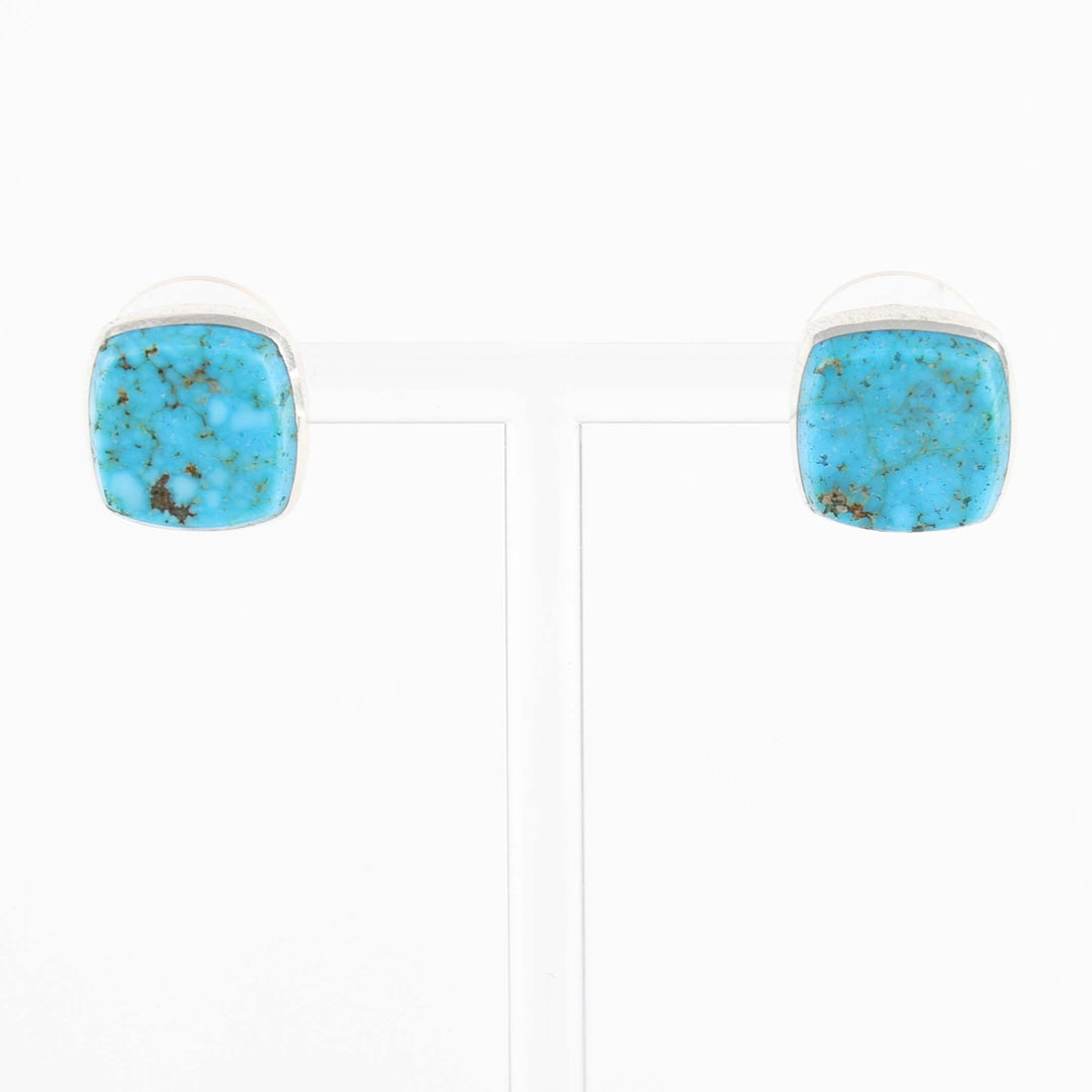 Ithaca Peak Turquoise Earrings