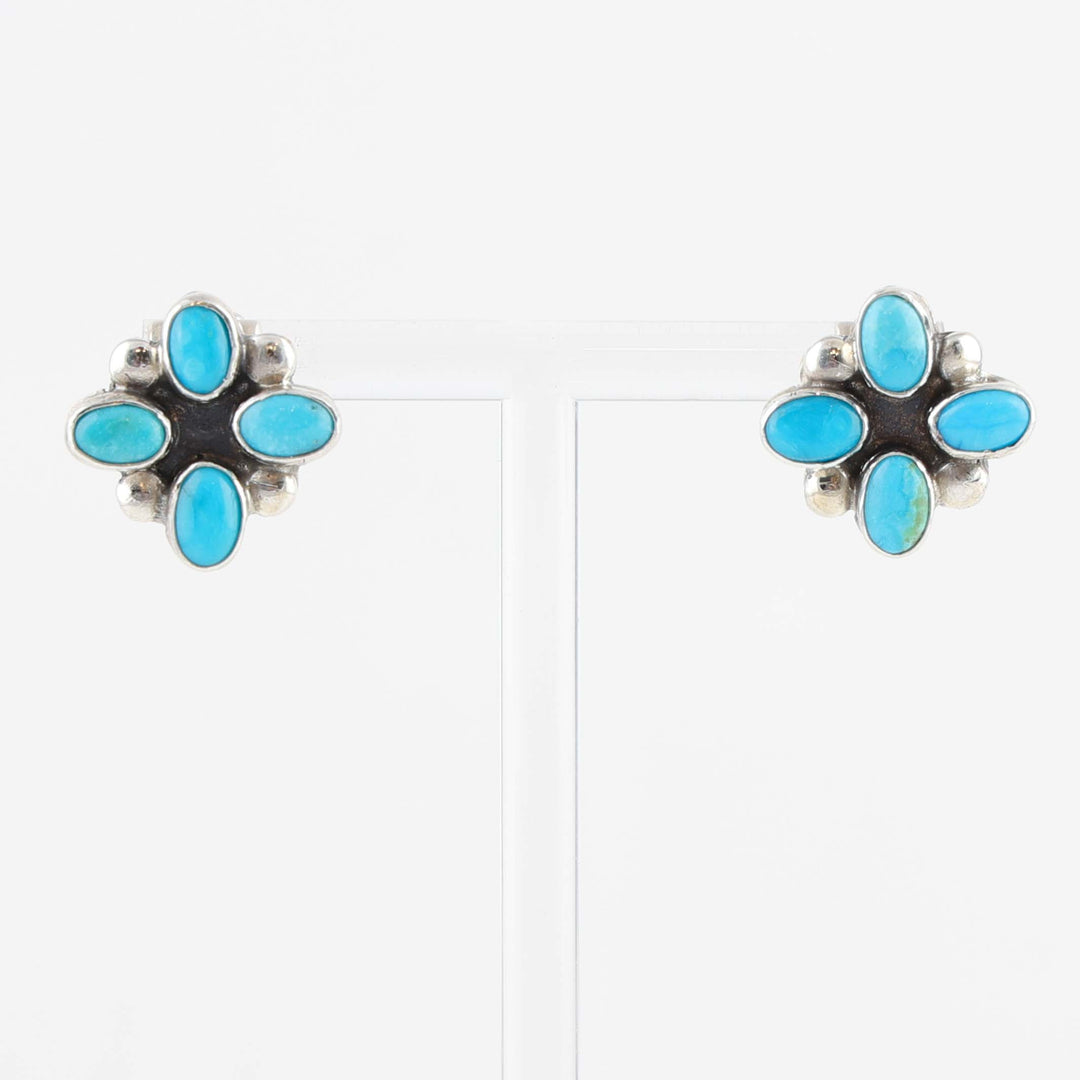 Sleeping Beauty Turquoise Earrings