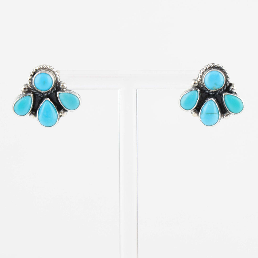 Sleeping Beauty Turquoise Earrings