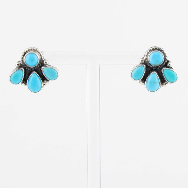Sleeping Beauty Turquoise Earrings