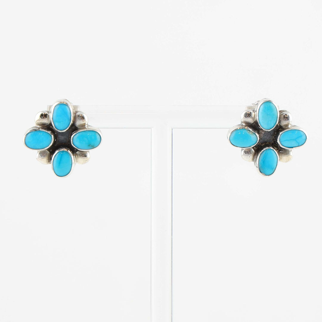 Sleeping Beauty Turquoise Earrings