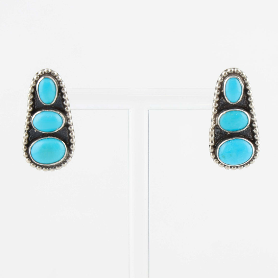 Sleeping Beauty Turquoise Earrings