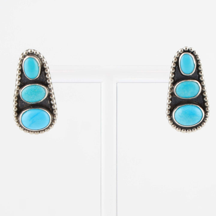 Sleeping Beauty Turquoise Earrings