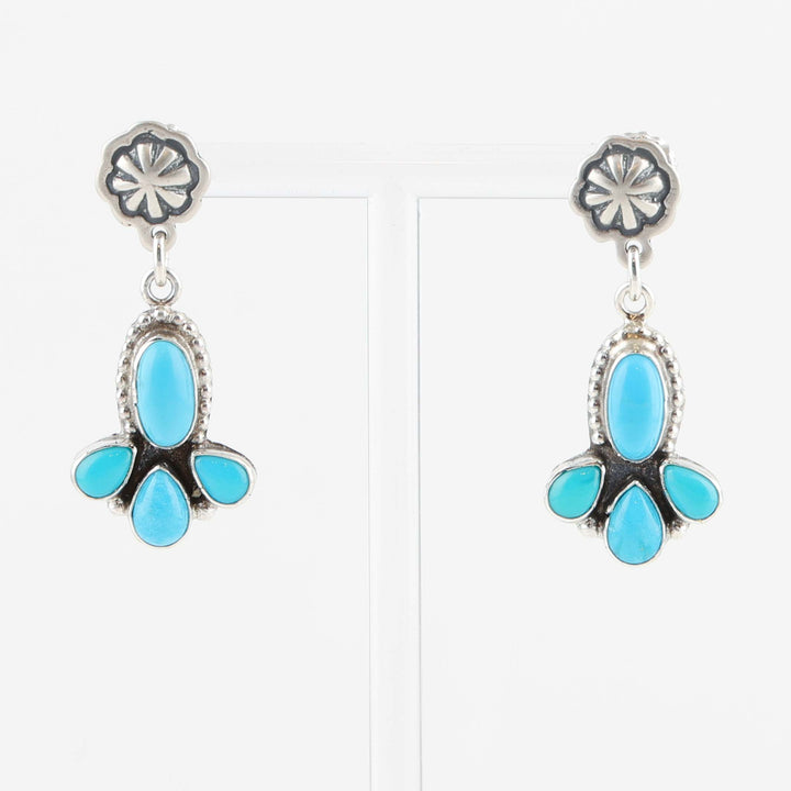 Sleeping Beauty Turquoise Earrings