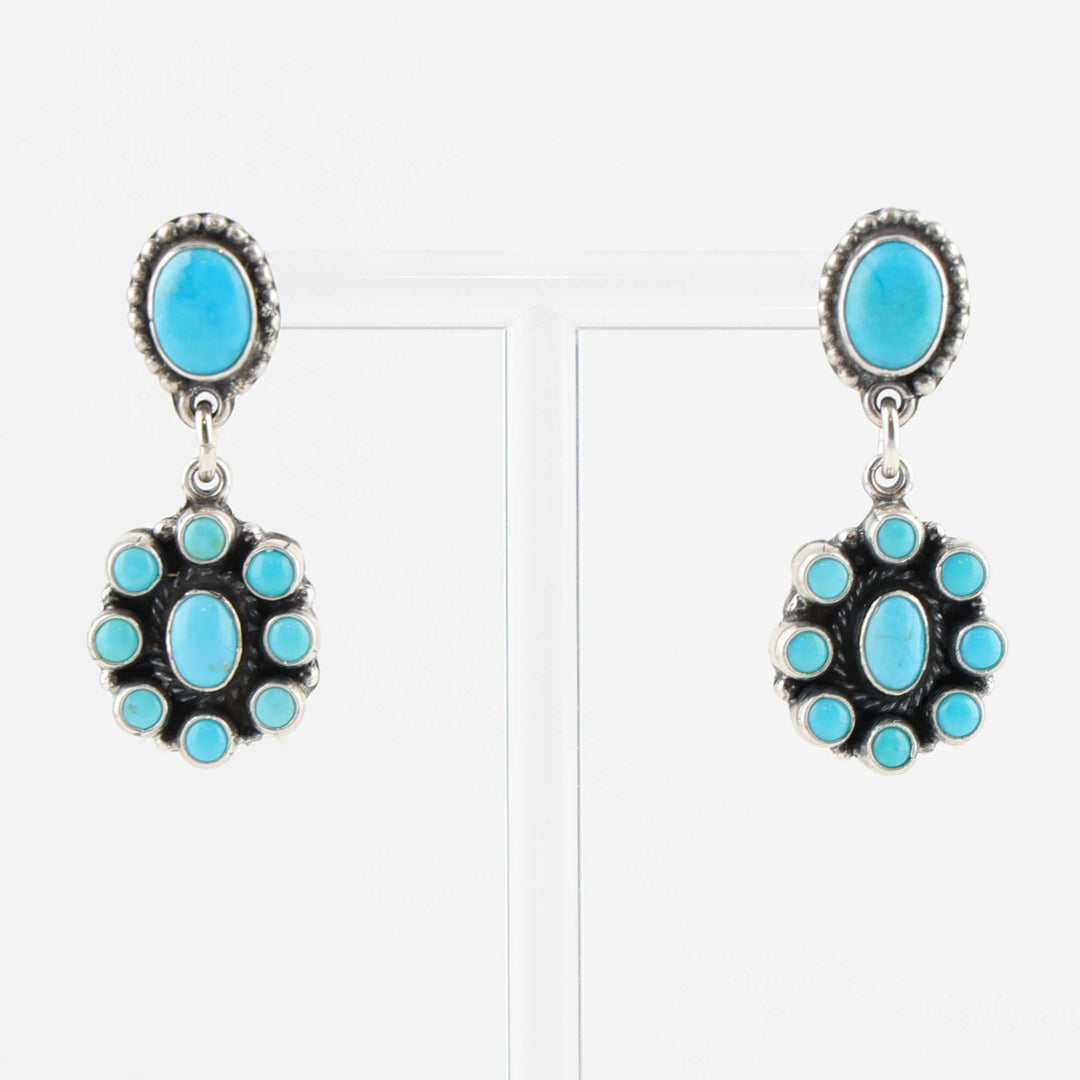 Sleeping Beauty Turquoise Earrings