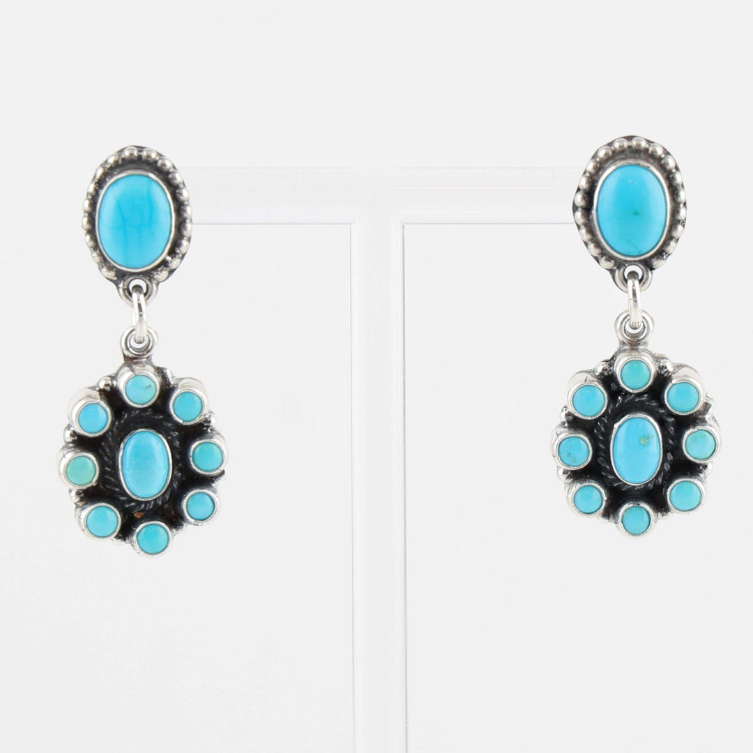 Sleeping Beauty Turquoise Earrings