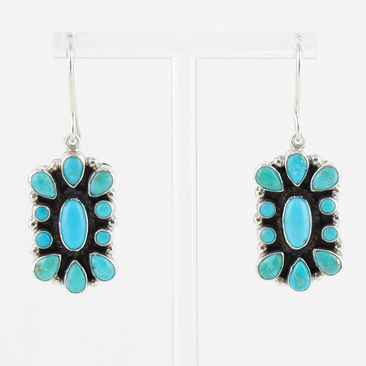 Sleeping Beauty Turquoise Earrings
