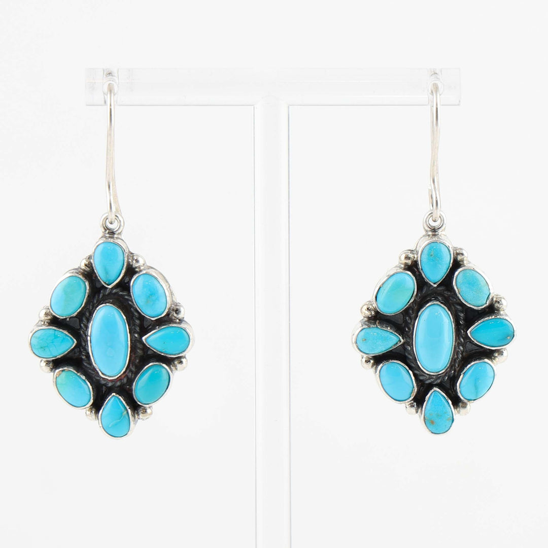 Sleeping Beauty Turquoise Earrings