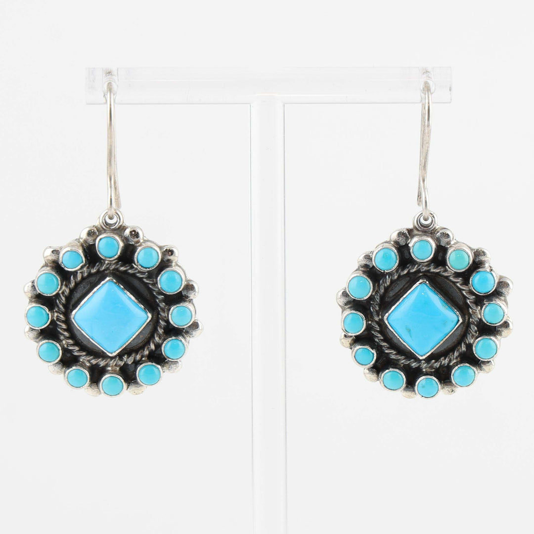 Sleeping Beauty Turquoise Earrings