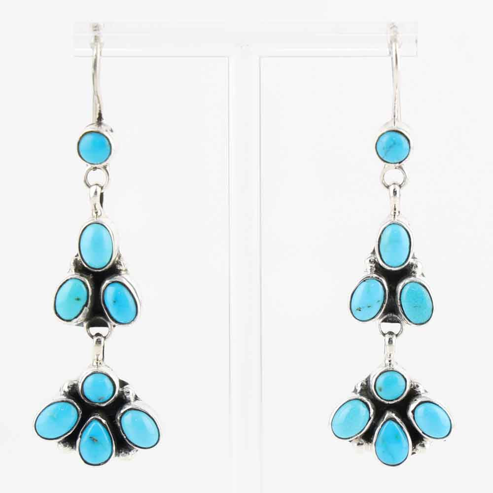 Sleeping Beauty Turquoise Earrings