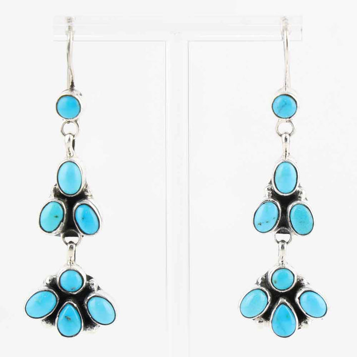 Sleeping Beauty Turquoise Earrings